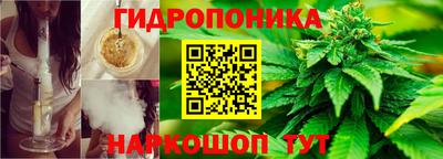 винт Гусь-Хрустальный