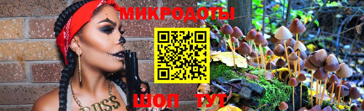 Галлюциногенные грибы Psilocybine cubensis Дедовск